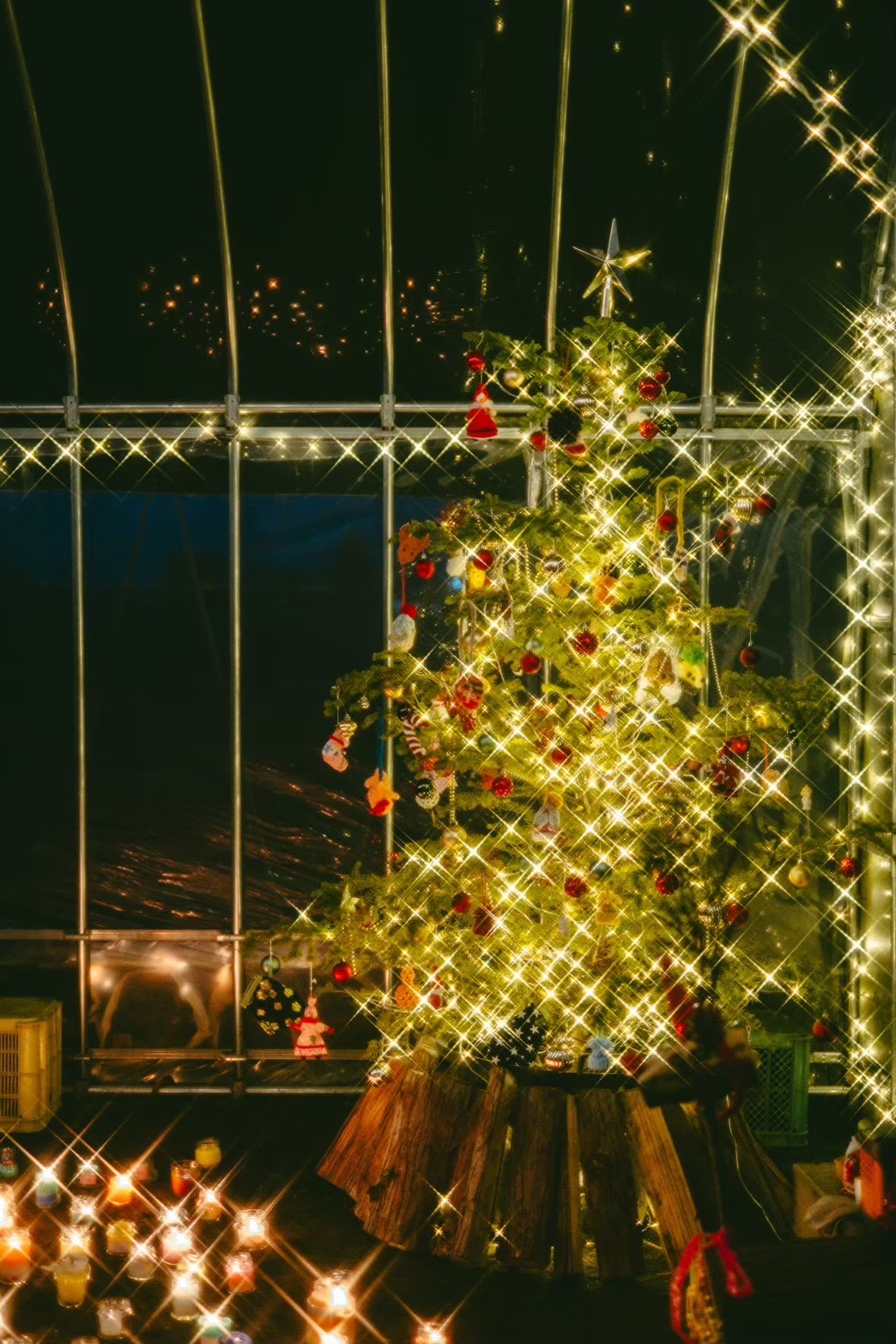 畑でクリスマス会