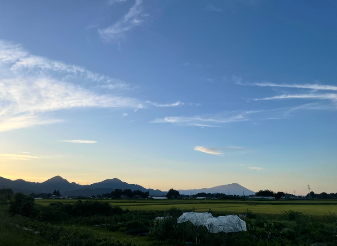 夕涼み